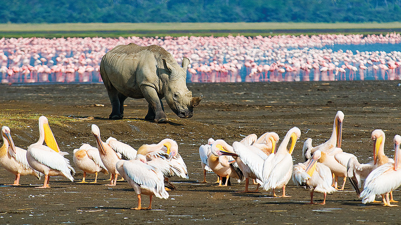 Zangada Africa Safaris