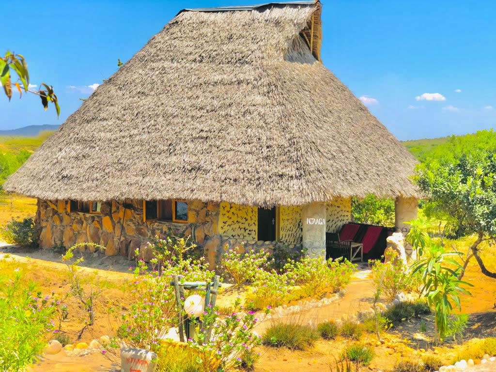 Zangada Africa Safaris