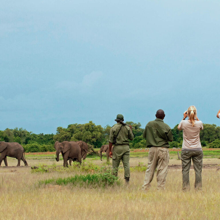 Lochinvar Safaris