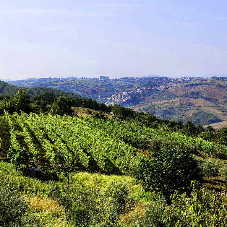 MOLISE GOLOSO