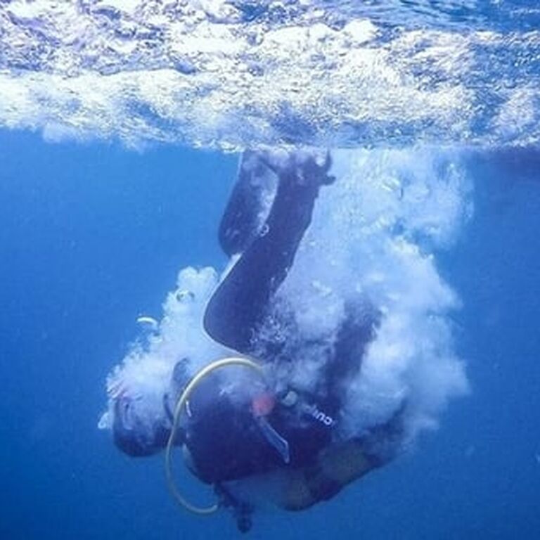 Carlos Paulos