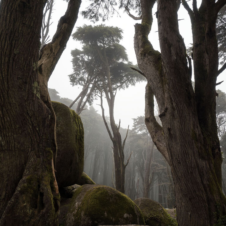 Sintra Photography Workshops
