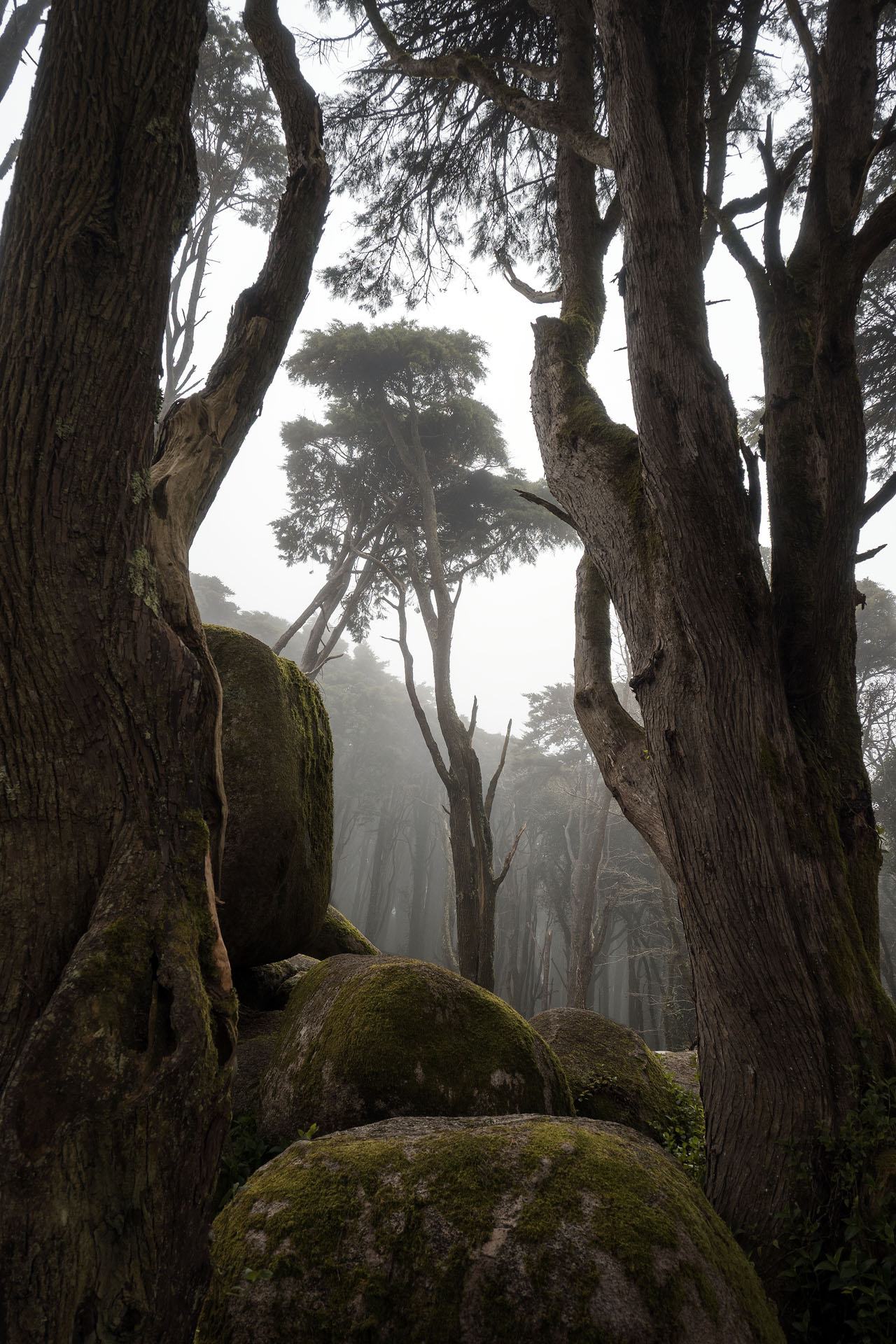 Sintra Photography Workshops