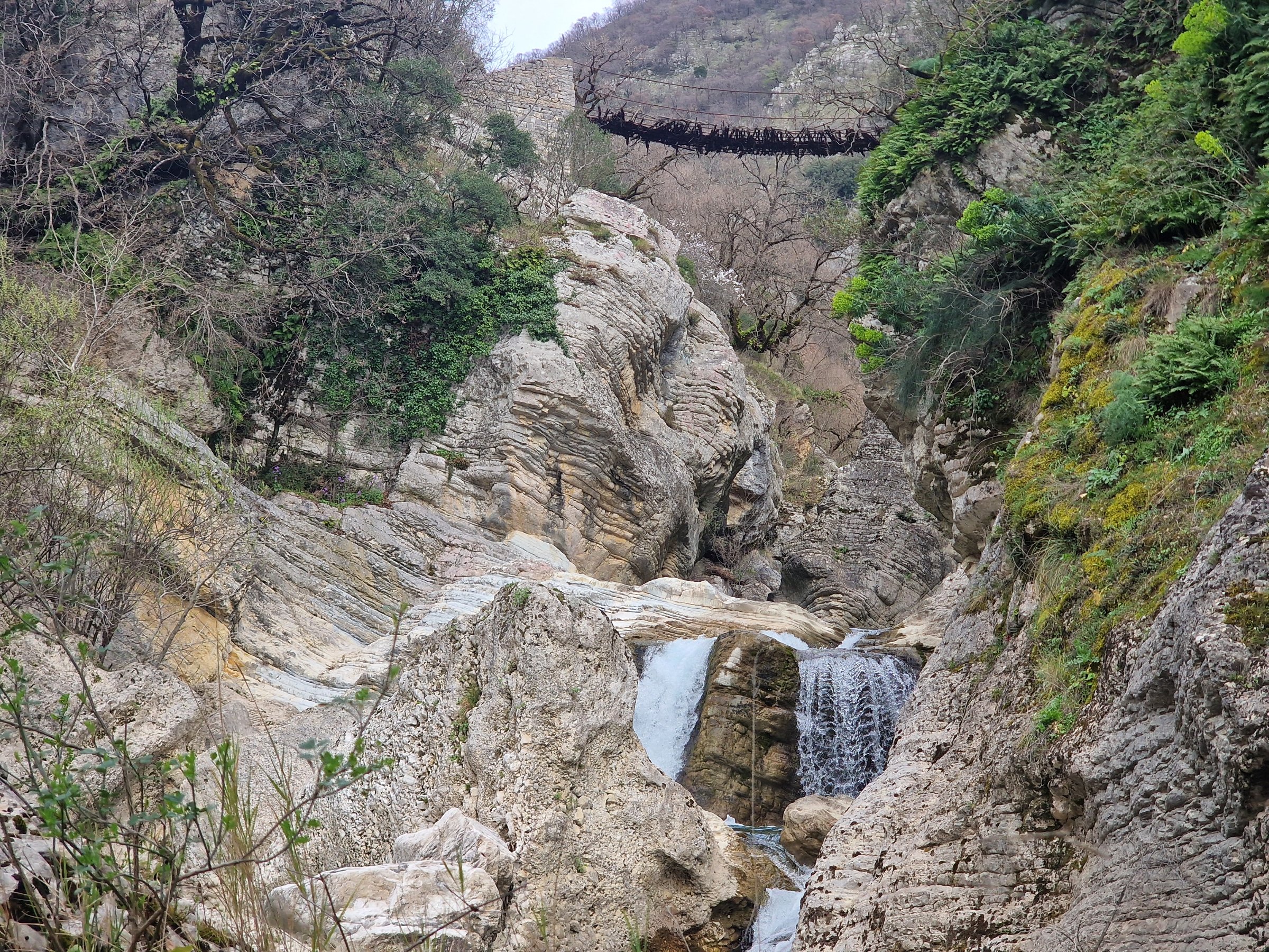 Eagle's Path Tours