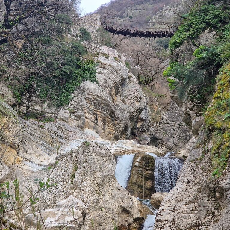 Eagle's Path Tours