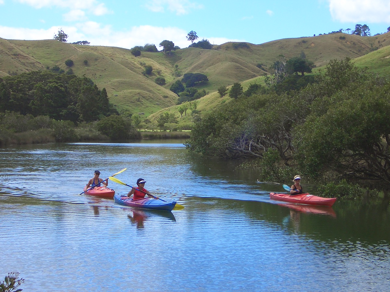 Puhoi Kayaks