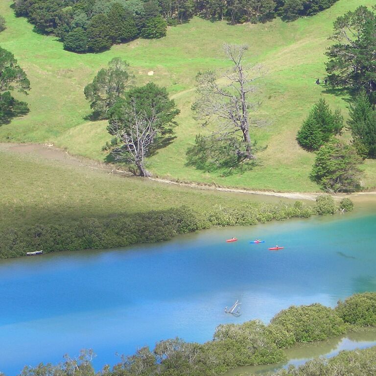 Puhoi Kayaks