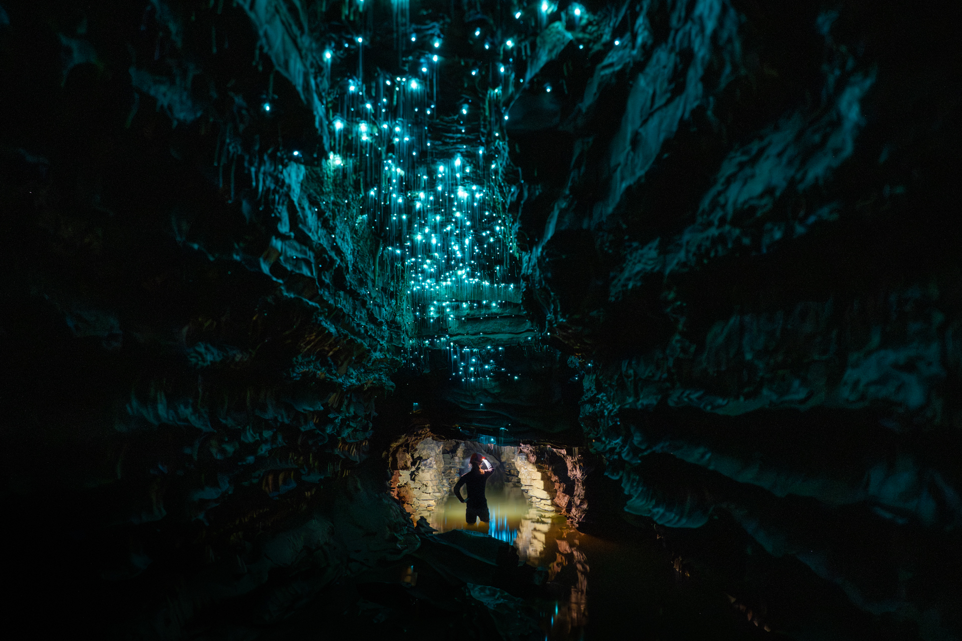 The Waitomo Experience