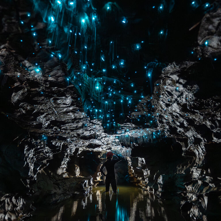 The Waitomo Experience