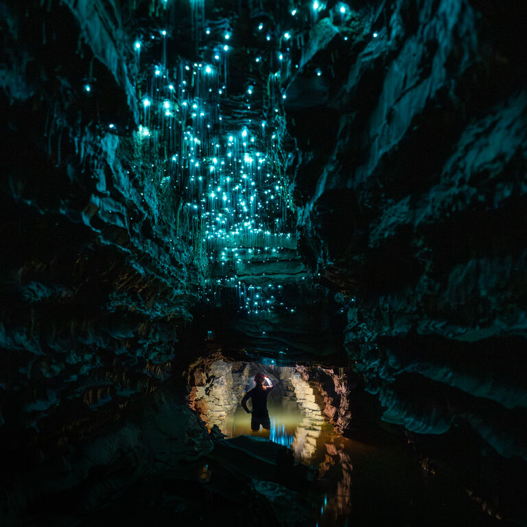 The Waitomo Experience