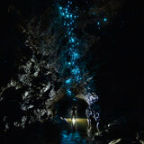 The Waitomo Experience