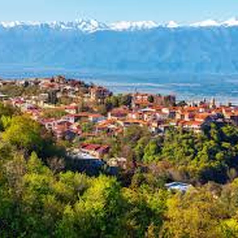 V Holidays Georgia