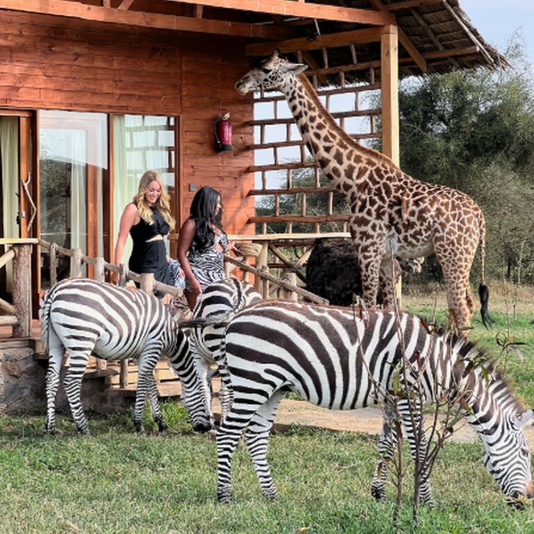 Sunscape Safaris Ltd
