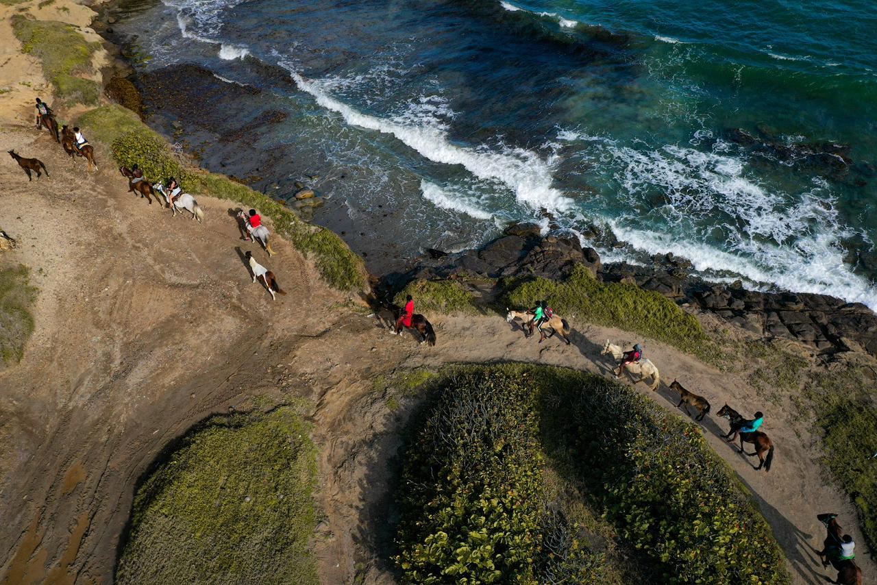 Roots Riding Stables