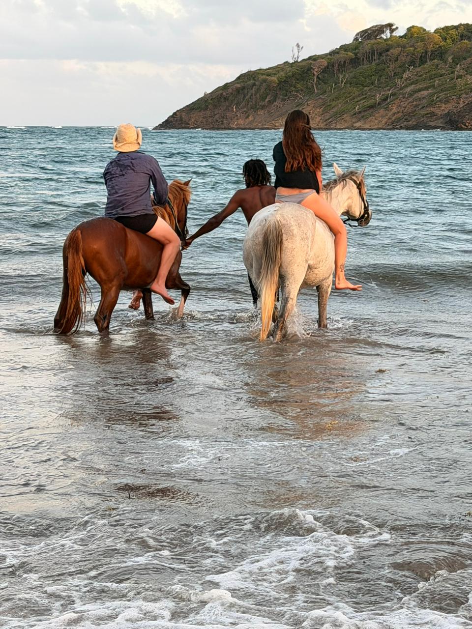 Roots Riding Stables