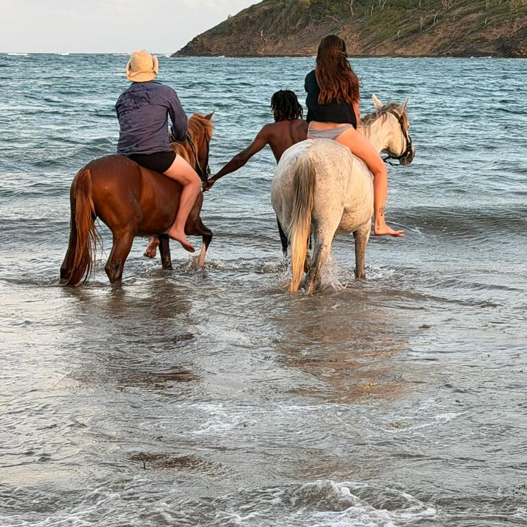 Roots Riding Stables