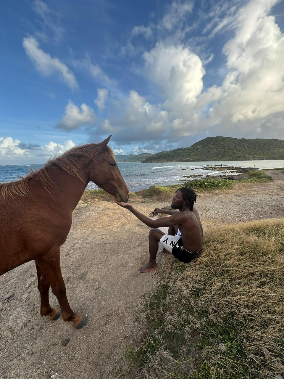 Roots Riding Stables