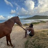 Roots Riding Stables