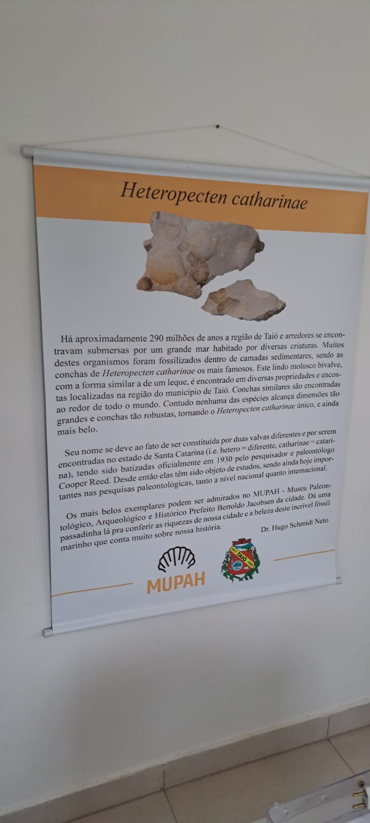 MUPAH – Museu Paleontológico,