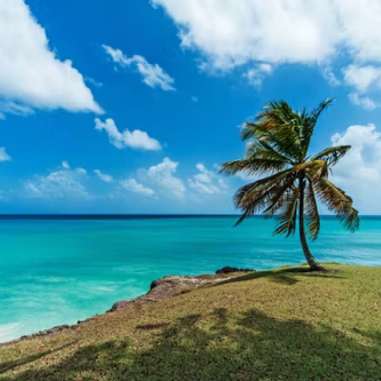 Taste Rum Tours