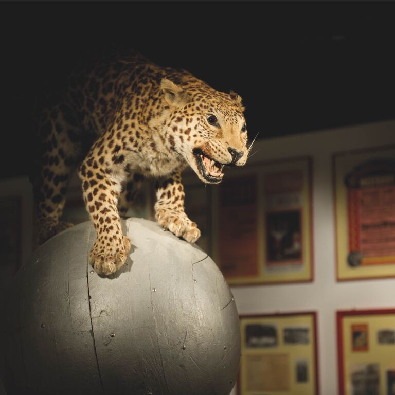 Circus and Clown Museum Vienna