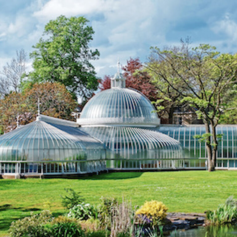Glasgow Private Tours