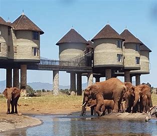 Skylane Safaris Ltd