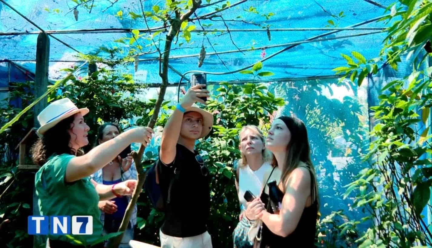 Mariposario Morpho Azul®