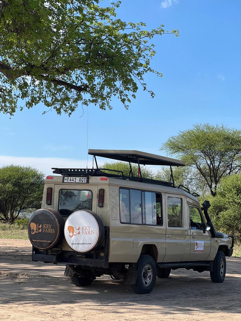 Sakey Safaris
