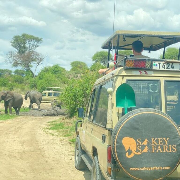 Sakey Safaris