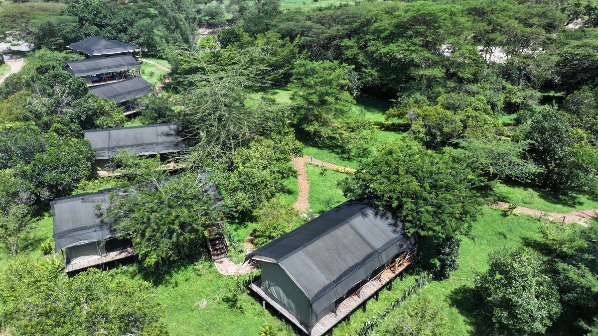 Aruba Mara Camp