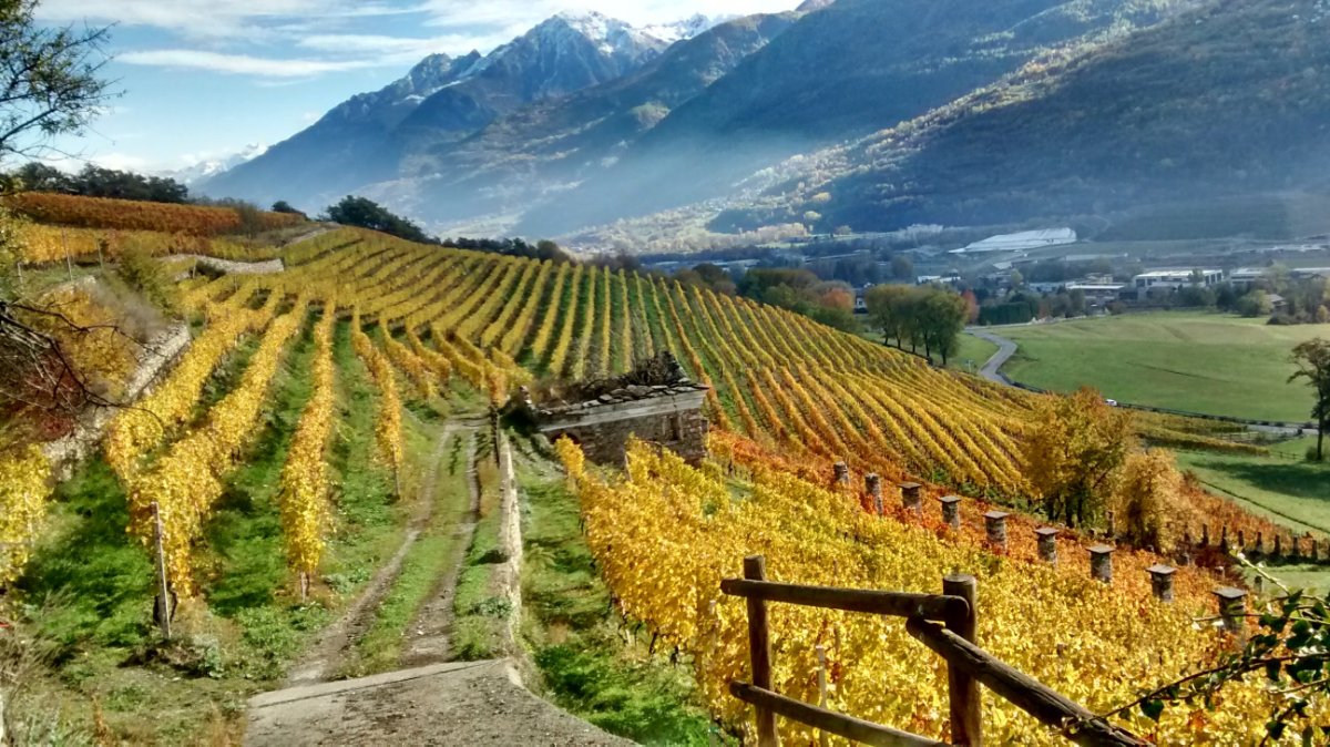 Grosjean Vins