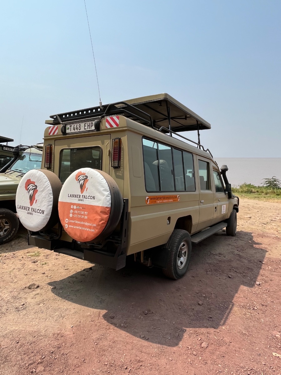 Tarangire N/park - Day Trip
