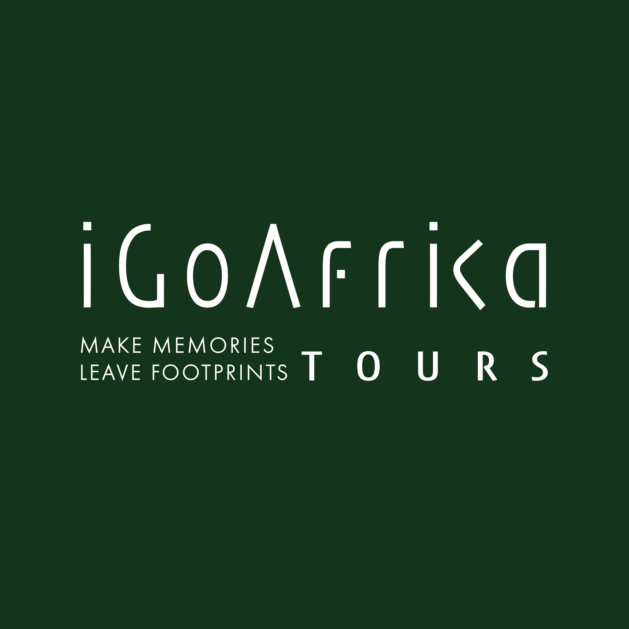 iGoAfrika Tours
