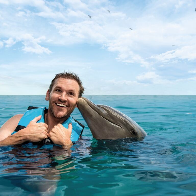 Dolphin Discovery