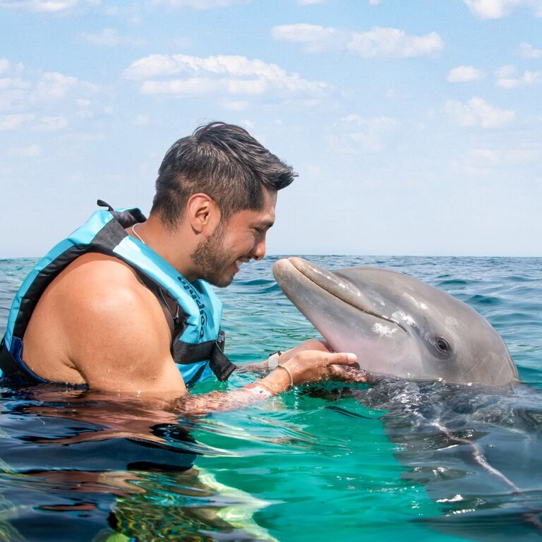 Dolphin Discovery