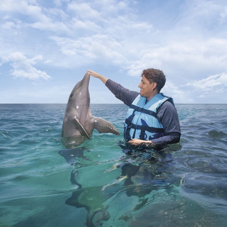 Dolphin Discovery