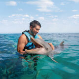 Dolphin Discovery