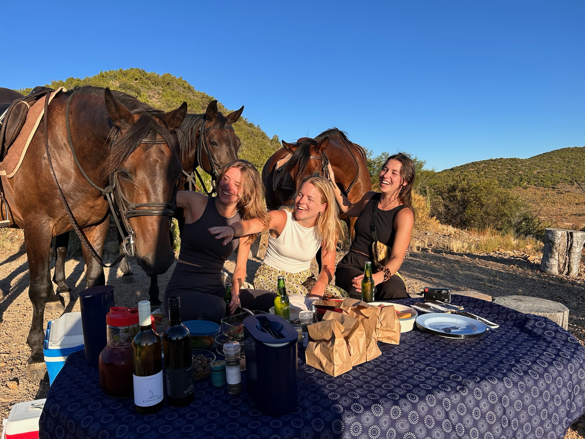Klein Karoo Horse Adventures