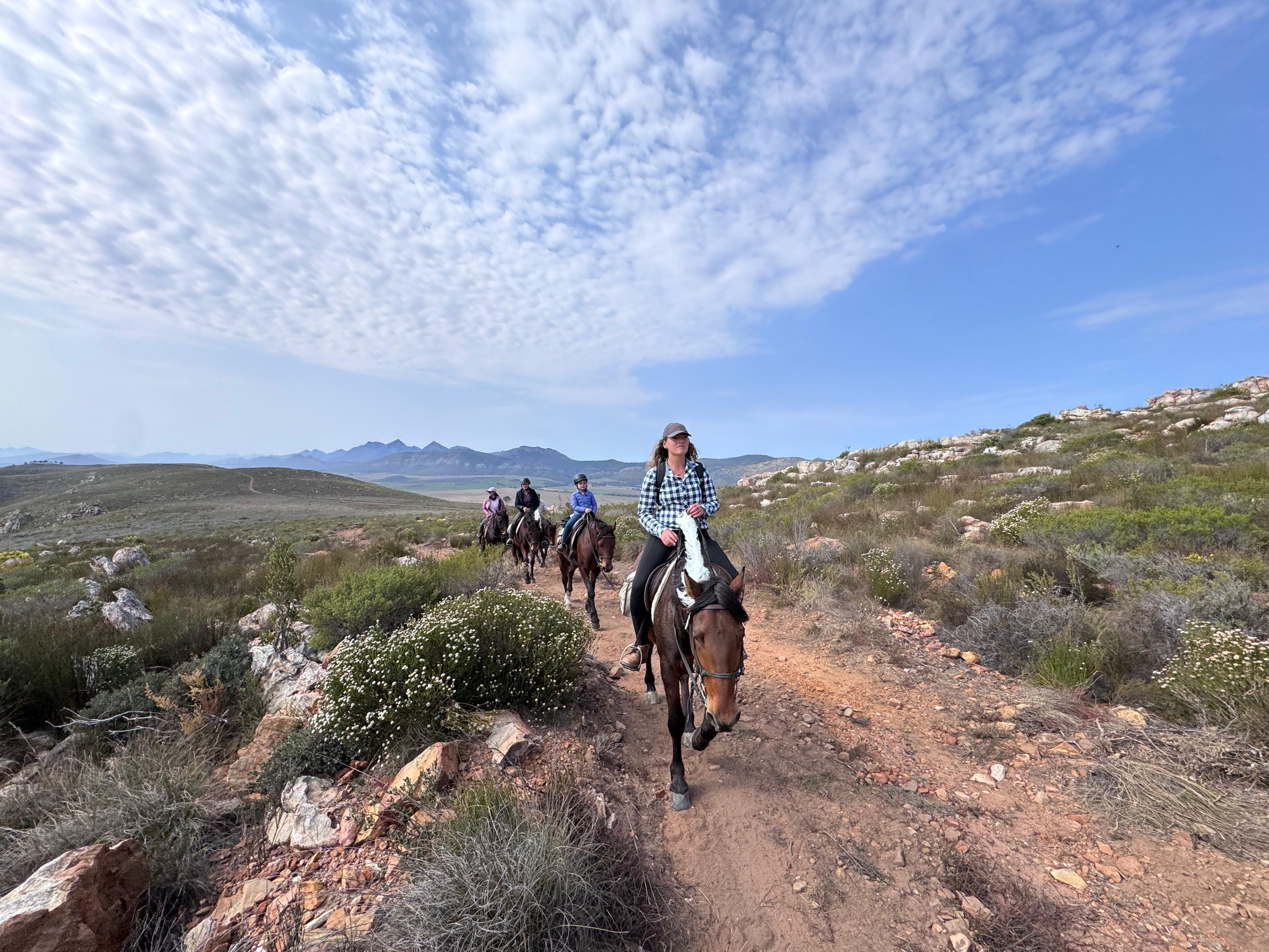 Klein Karoo Horse Adventures
