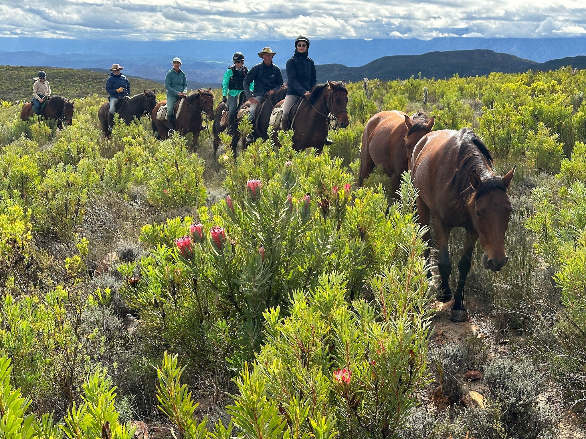 Klein Karoo Horse Adventures