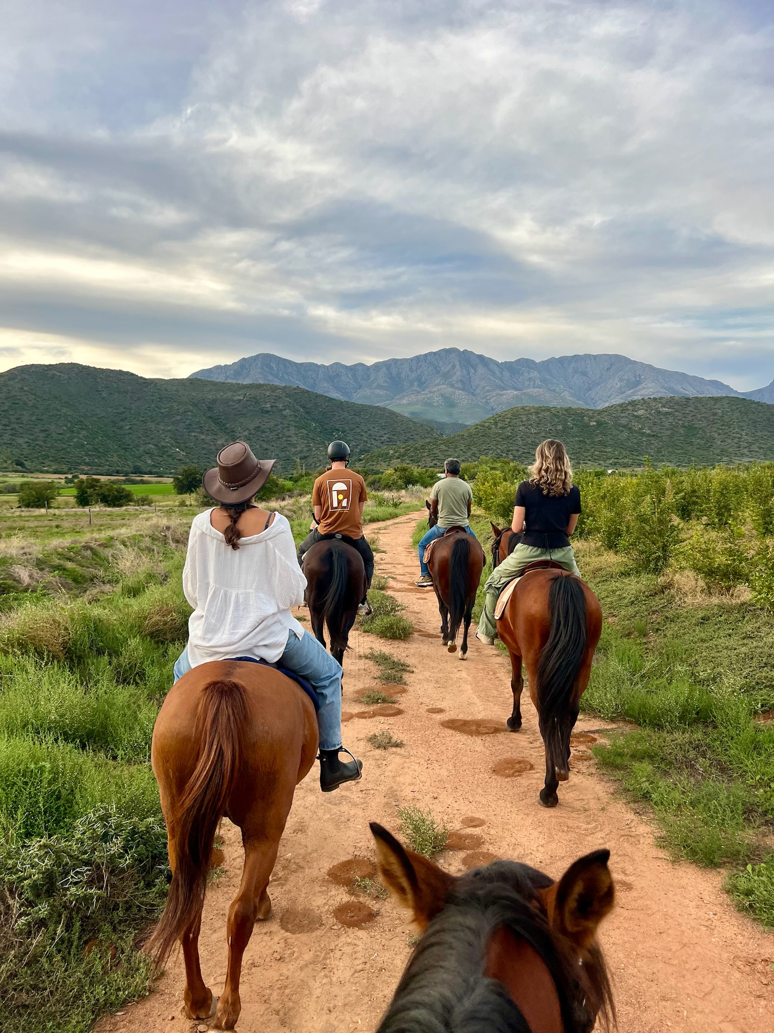 Klein Karoo Horse Adventures