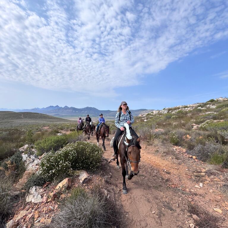 Klein Karoo Horse Adventures