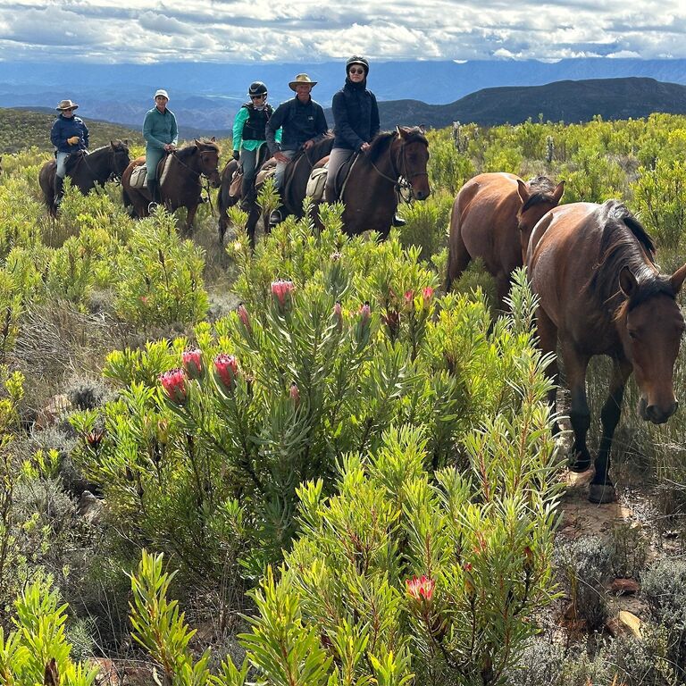 Klein Karoo Horse Adventures