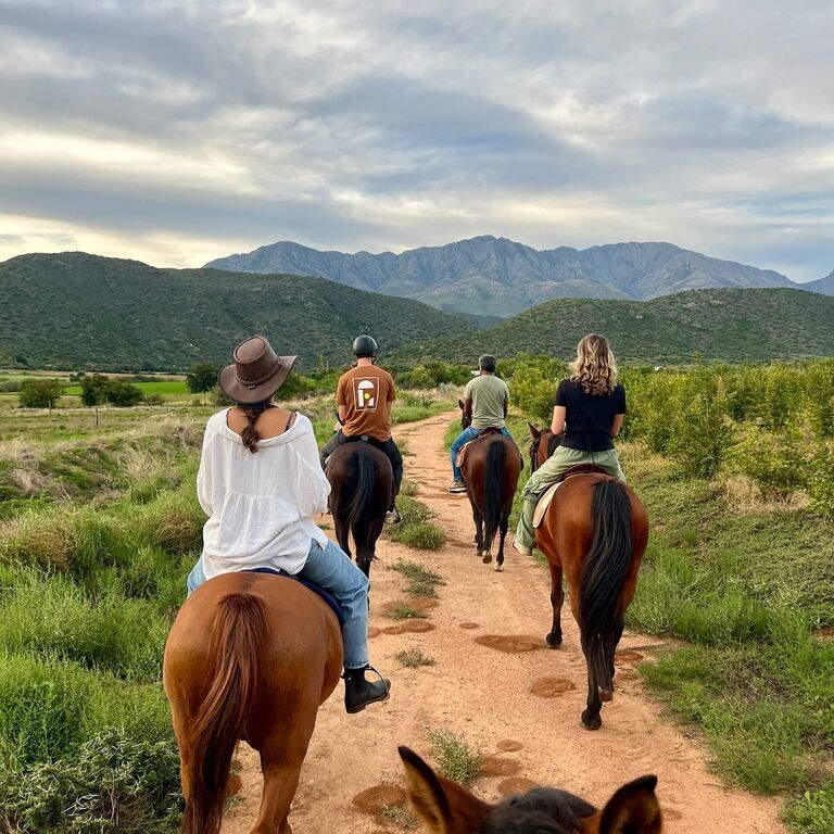 Klein Karoo Horse Adventures