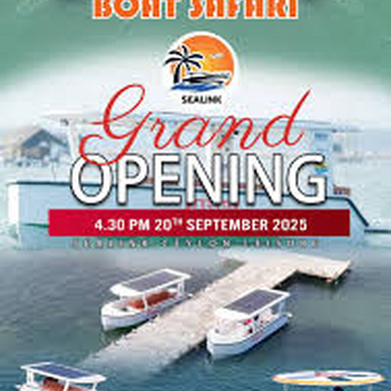 Sealink Boat Safari