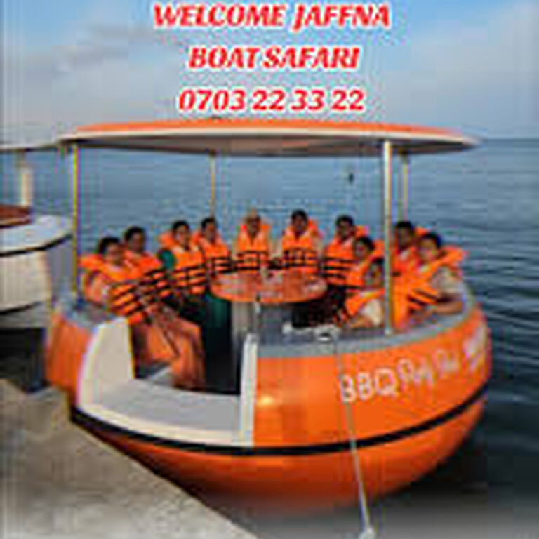 Sealink Boat Safari