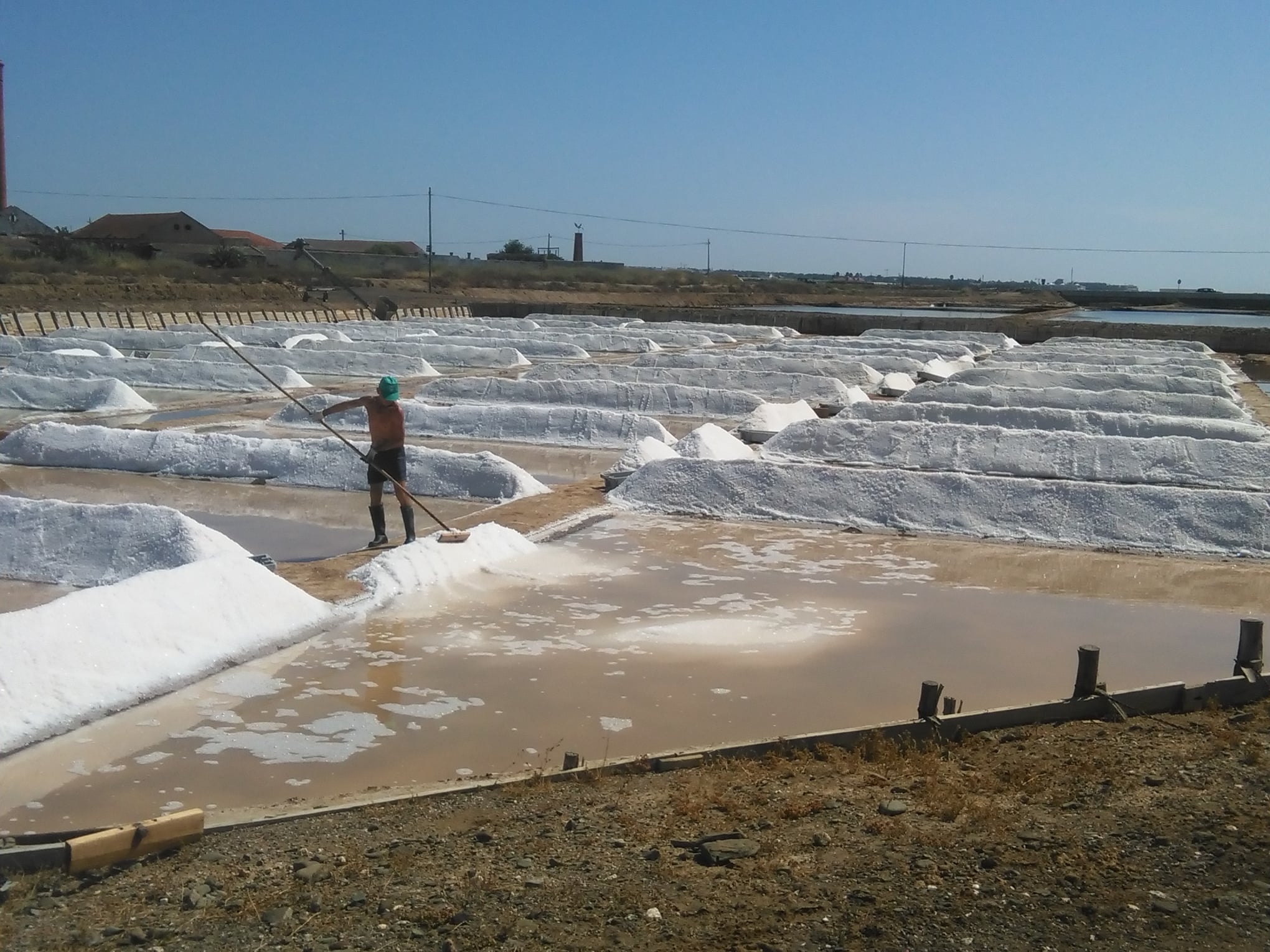 RUI SIMEÃO TAVIRA SAL