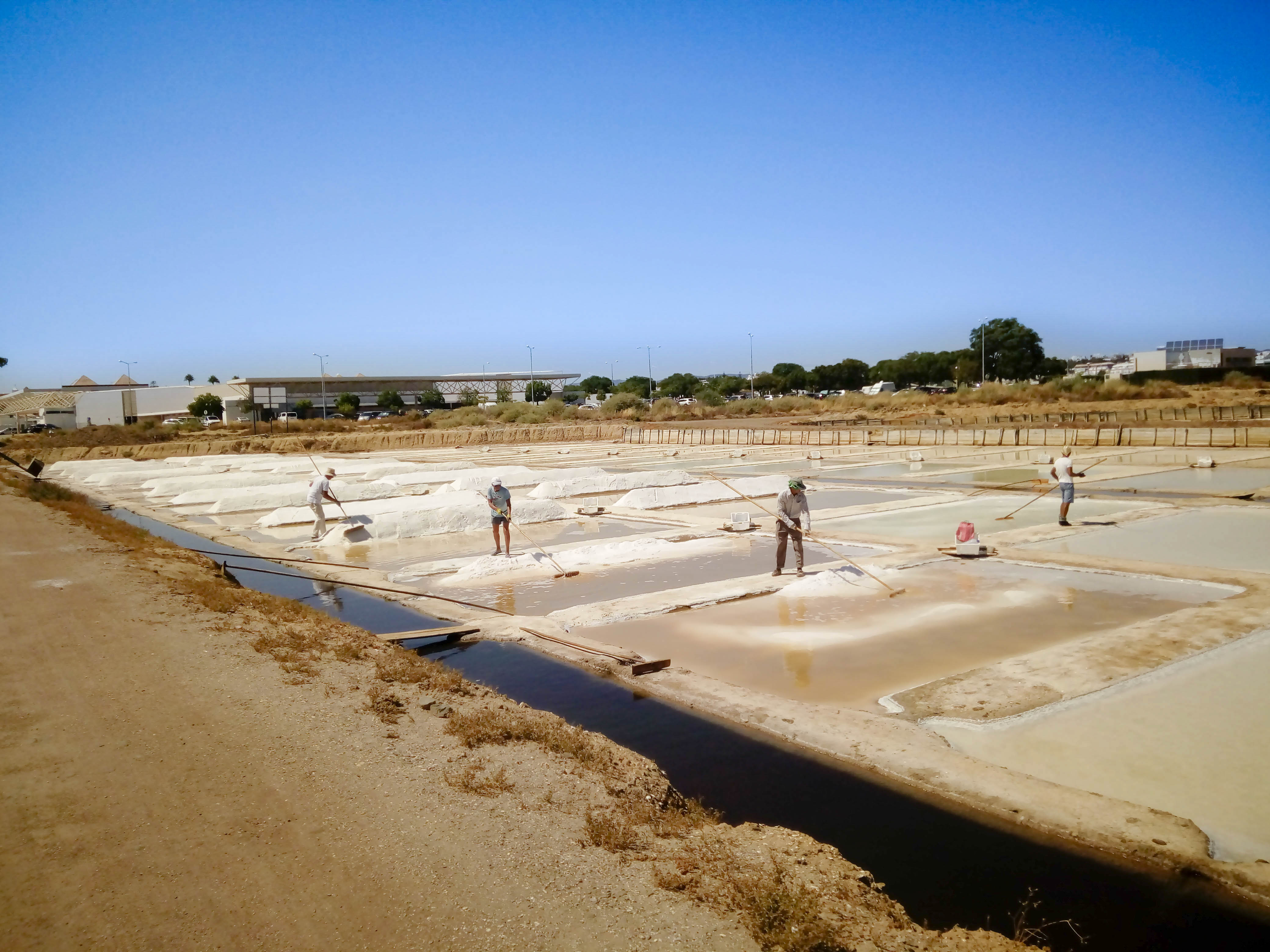 RUI SIMEÃO TAVIRA SAL