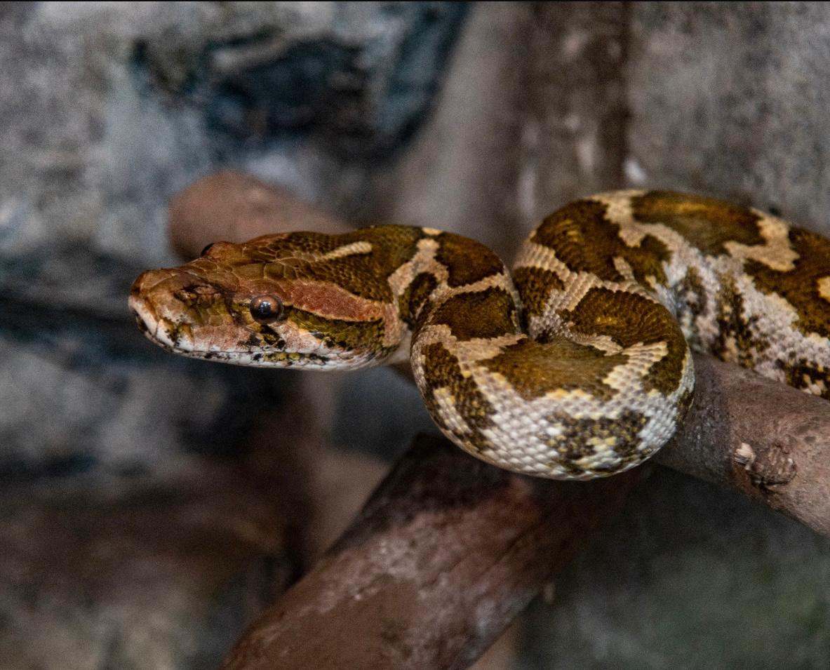 Fundación Maroparque